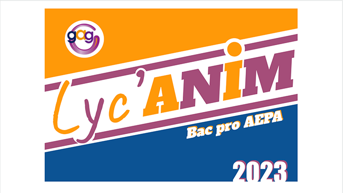 Les résultats du concours Lyc'Anim 2023 !