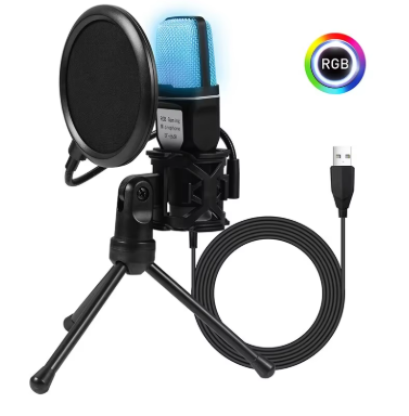Professional Microphone Mic PC Laptop