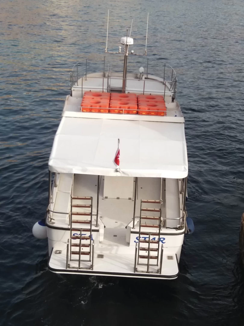 Sea Star - view 3
