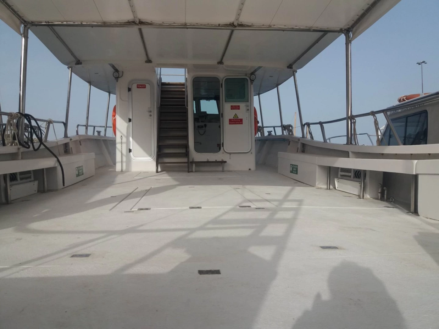 Sea Star - view 4