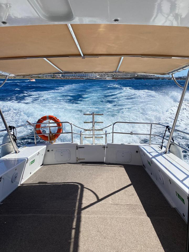 Cruiser A - view 5