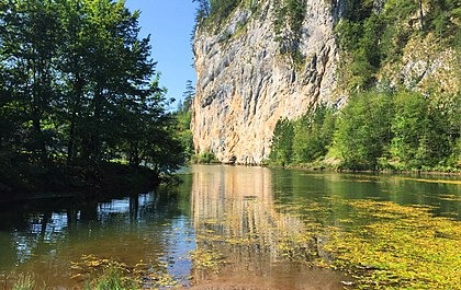 Бели рзав