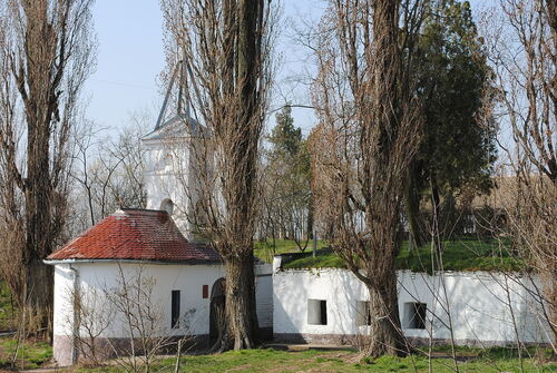 Богомоља Водица