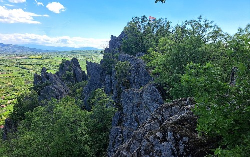 Борачки крш