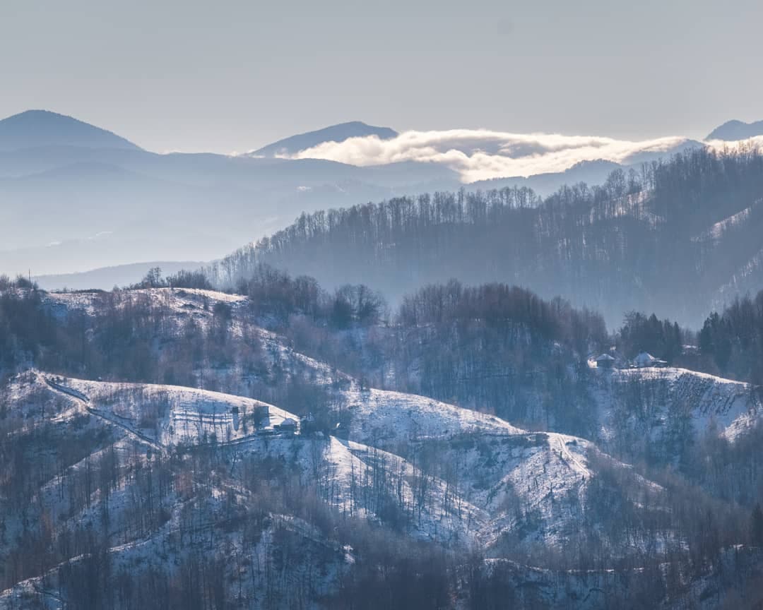 Борања