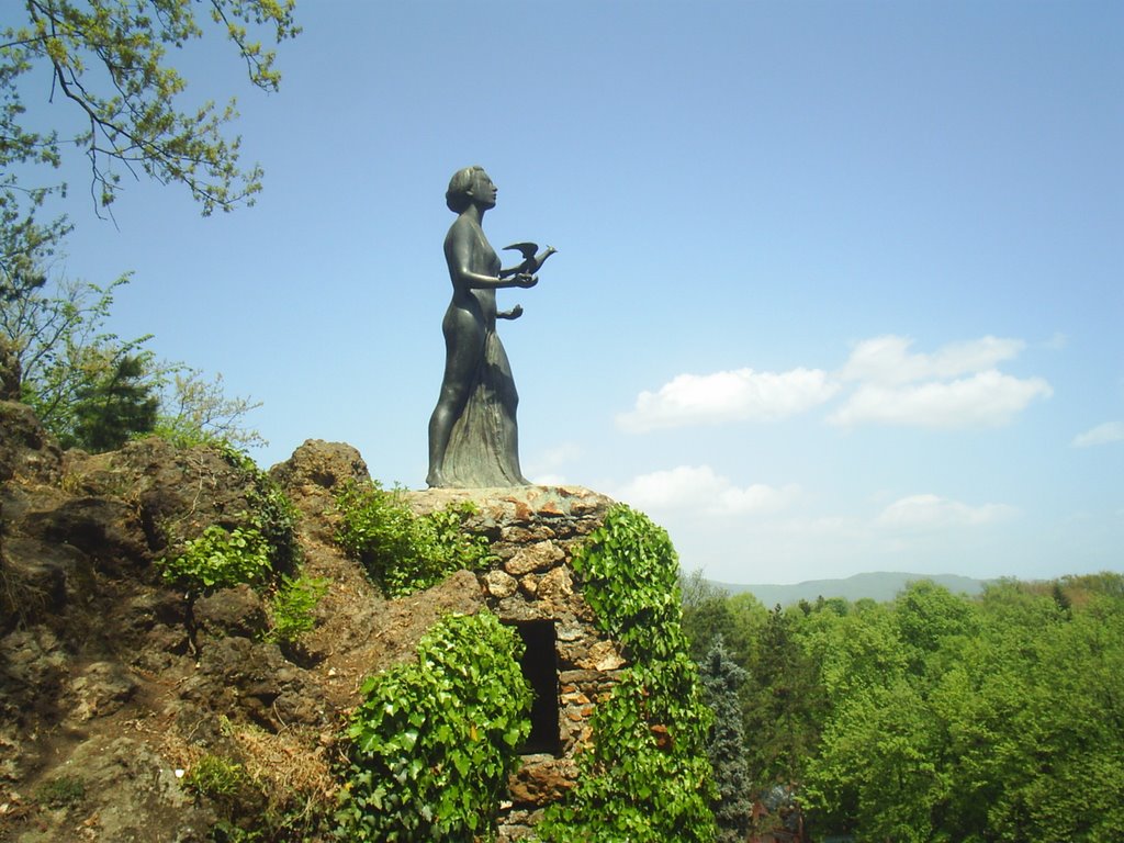 Чајкино брдо