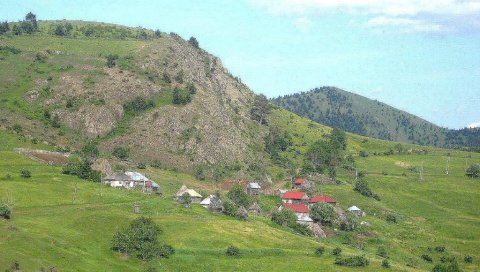 Чемерница