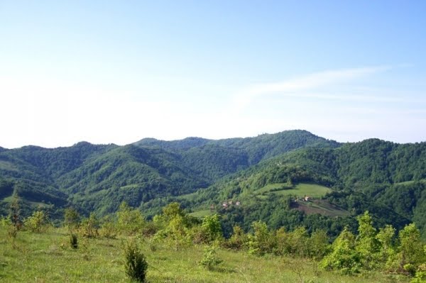 Цер
