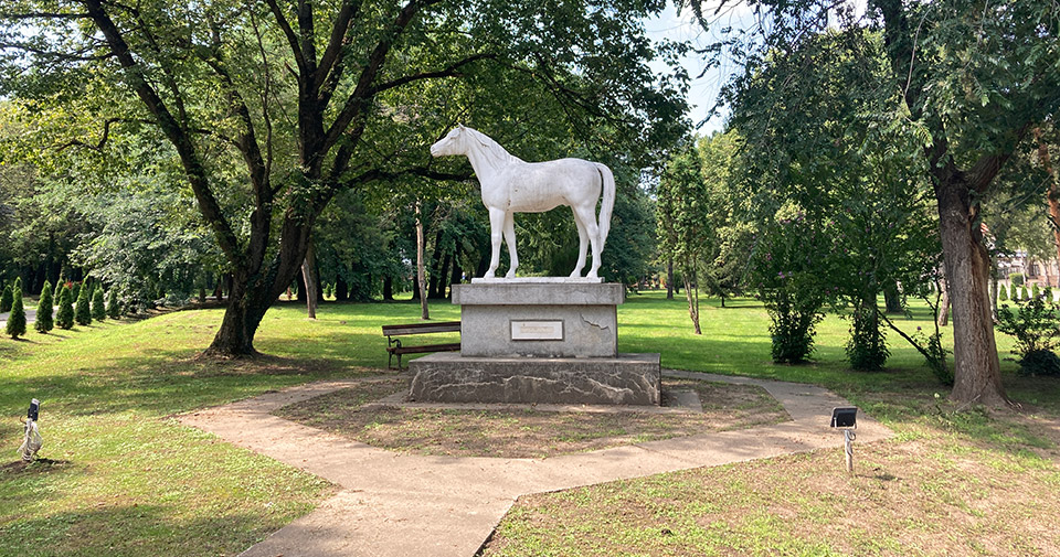 Ергела Зобнатица