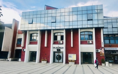 Галерија Чедомир Крстић Пирот