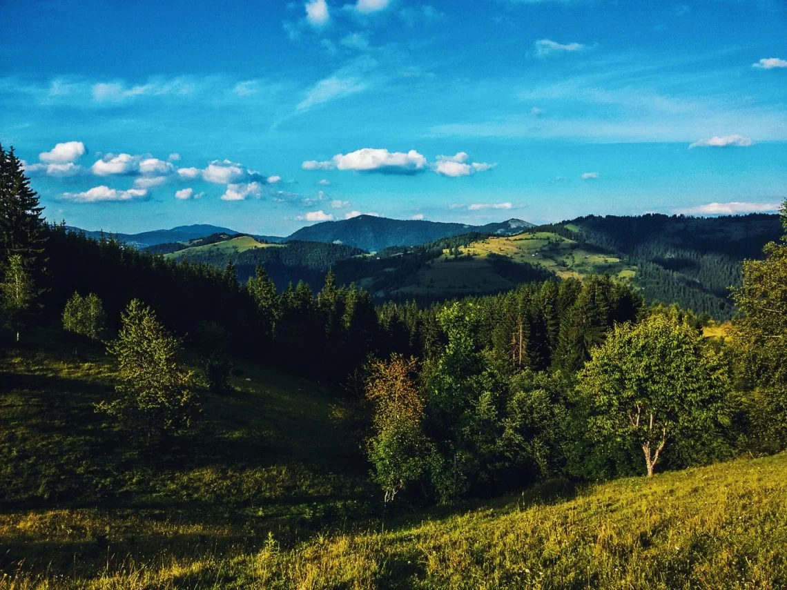 Голија 