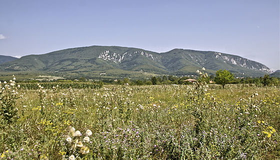 Хомољске планине