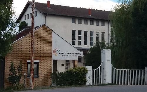 Институт за повртарство