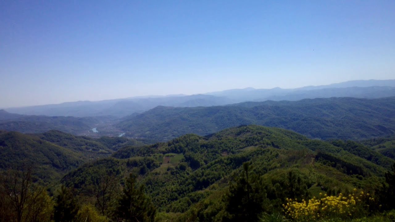 Јагодња