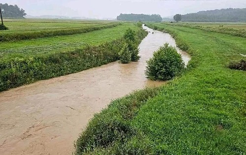 Јасеница