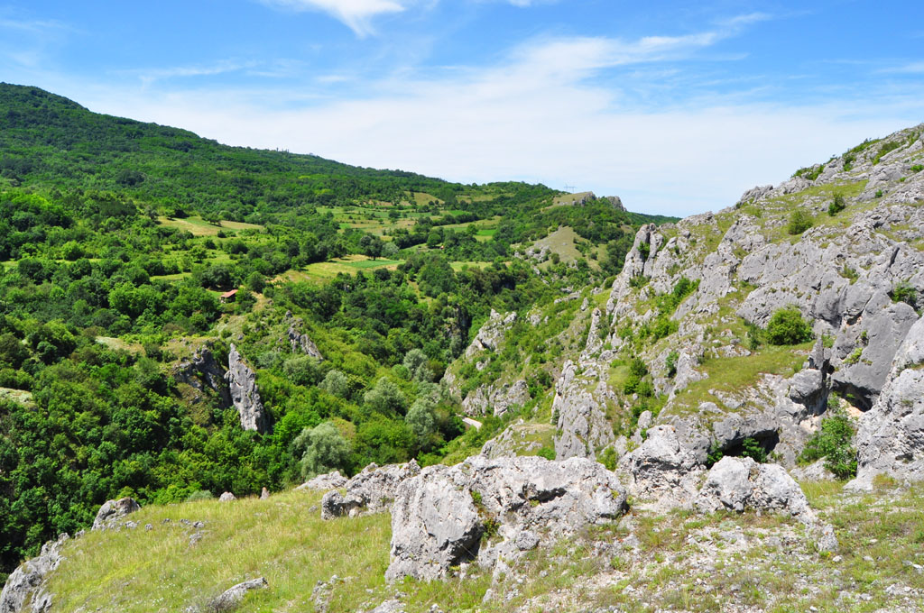 Јелашничка клисура