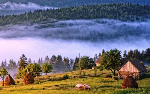 Камена Гора