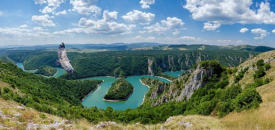 Кањон Увац