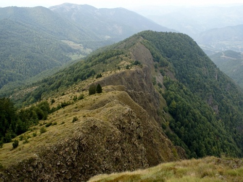 Кукавица