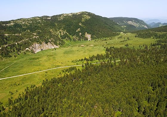 Мокра гора