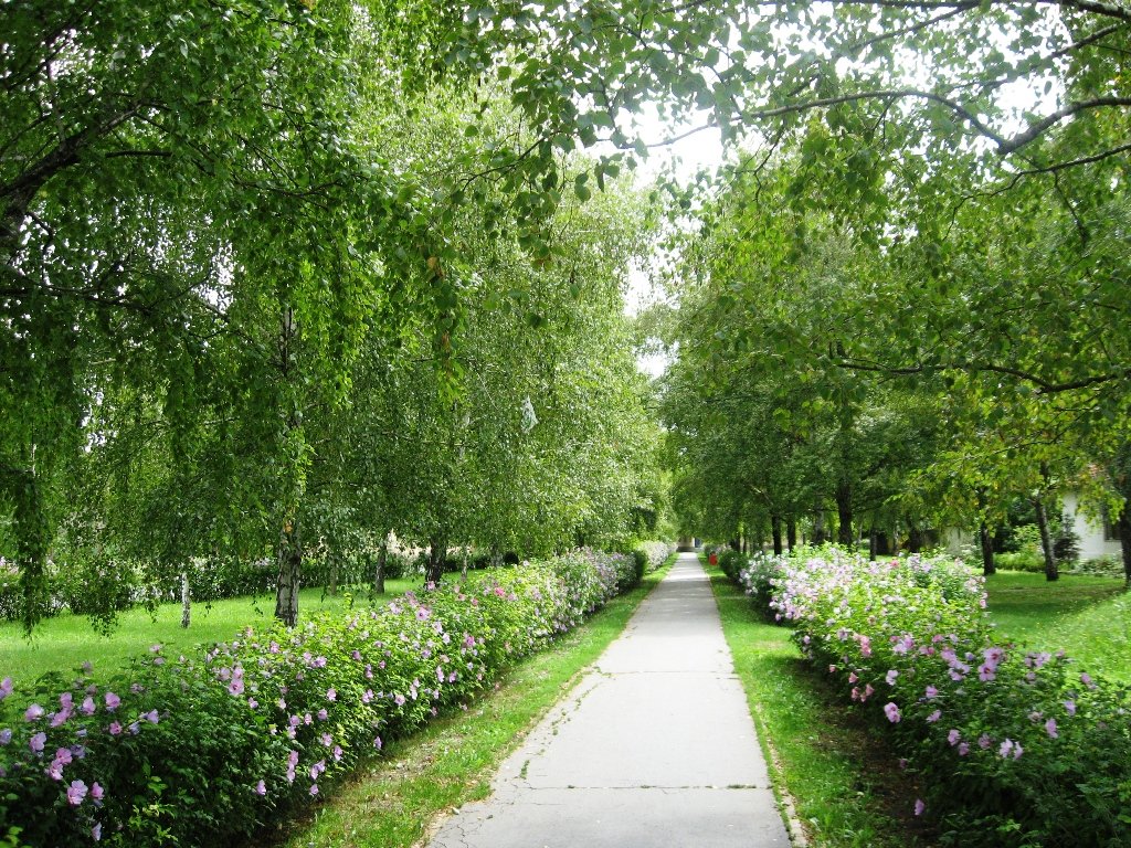 Народна башта Сента