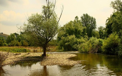 Нера