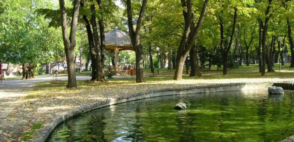 Паланачки кисељак