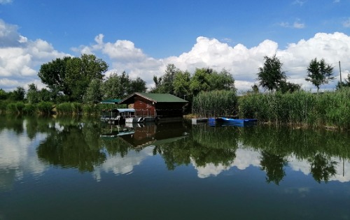 Парк природе Стара Тиса
