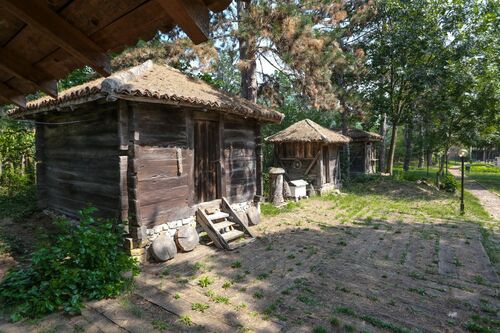 Петрови двори