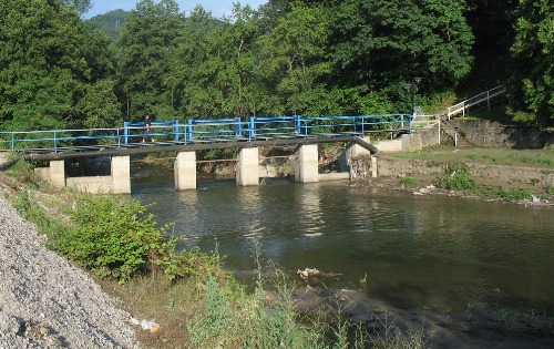 Расина
