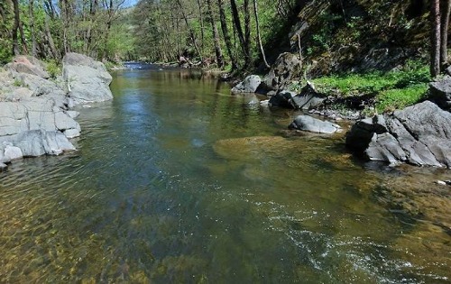 Река Рибница