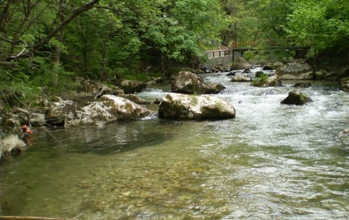 Ресава