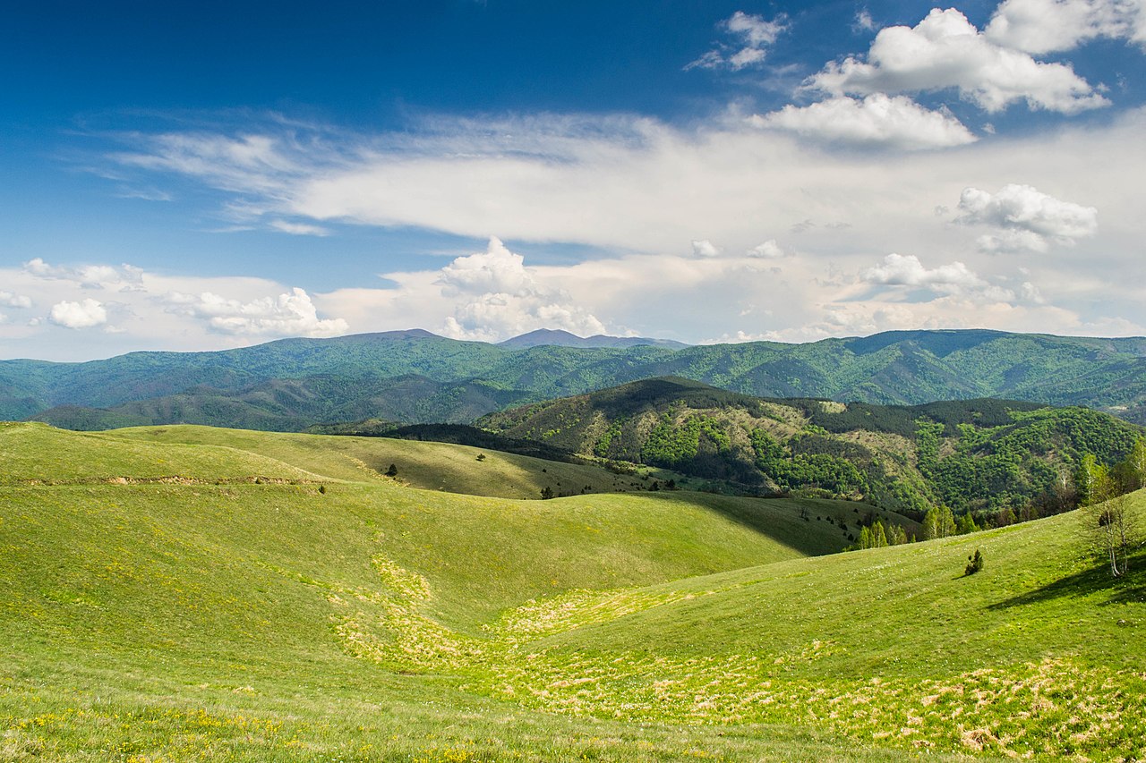 Столови
