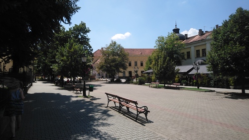 Трг Бранка Радичевића