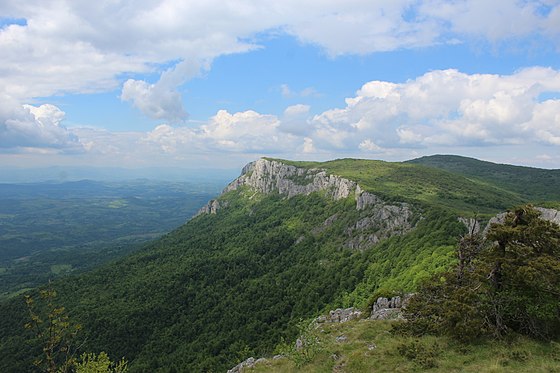Тупижница