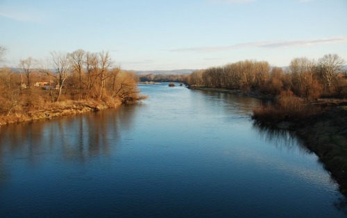 Велика Морава