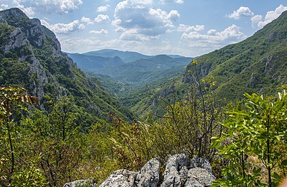Влашка планина