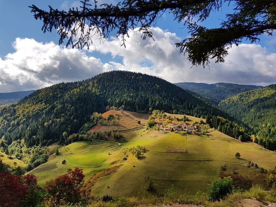 Златар 