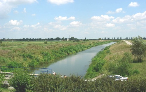 Златица