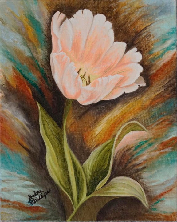 Beautiful Tulip