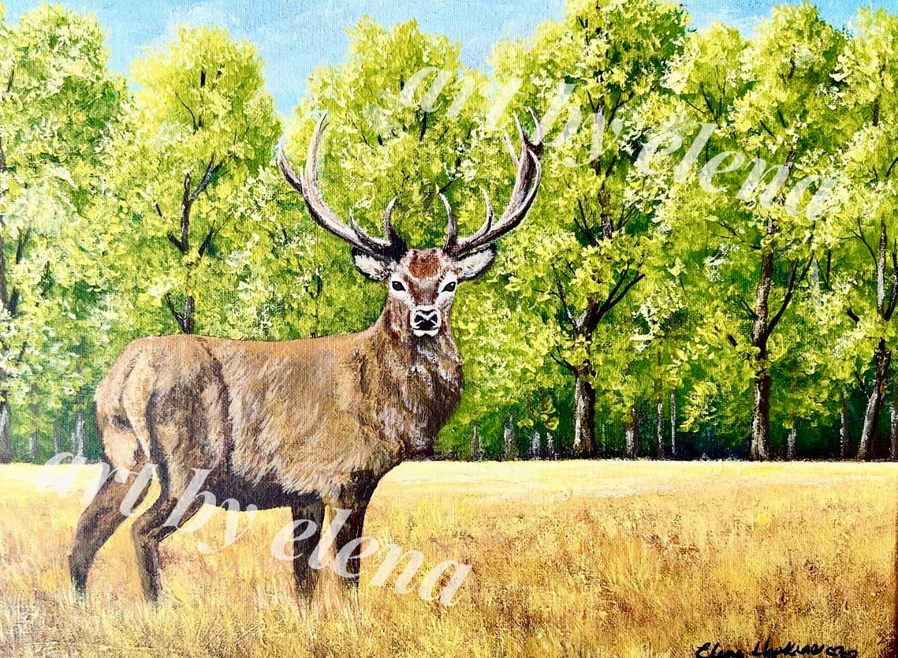 Deer