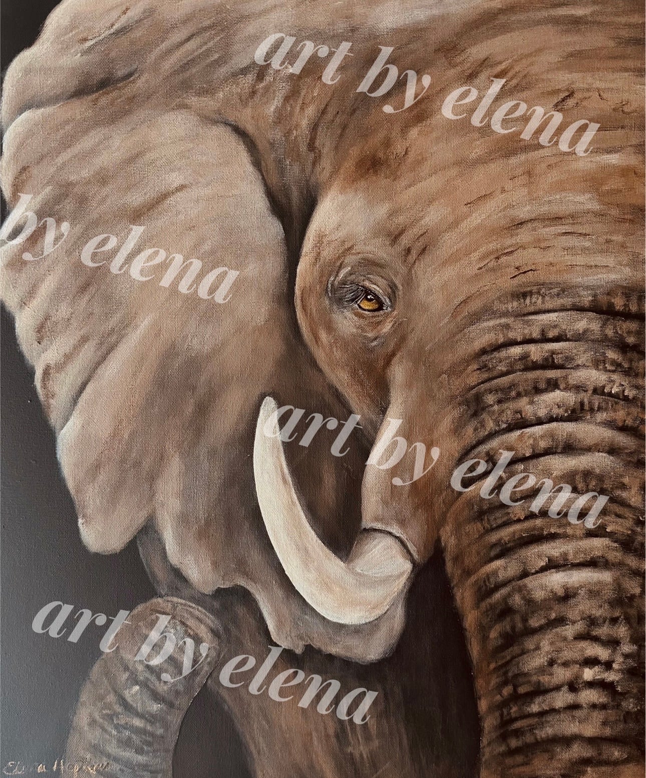 Elephant