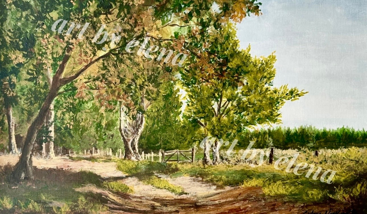 Walk In The Woods