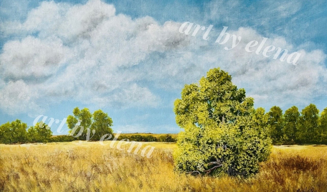Prairie