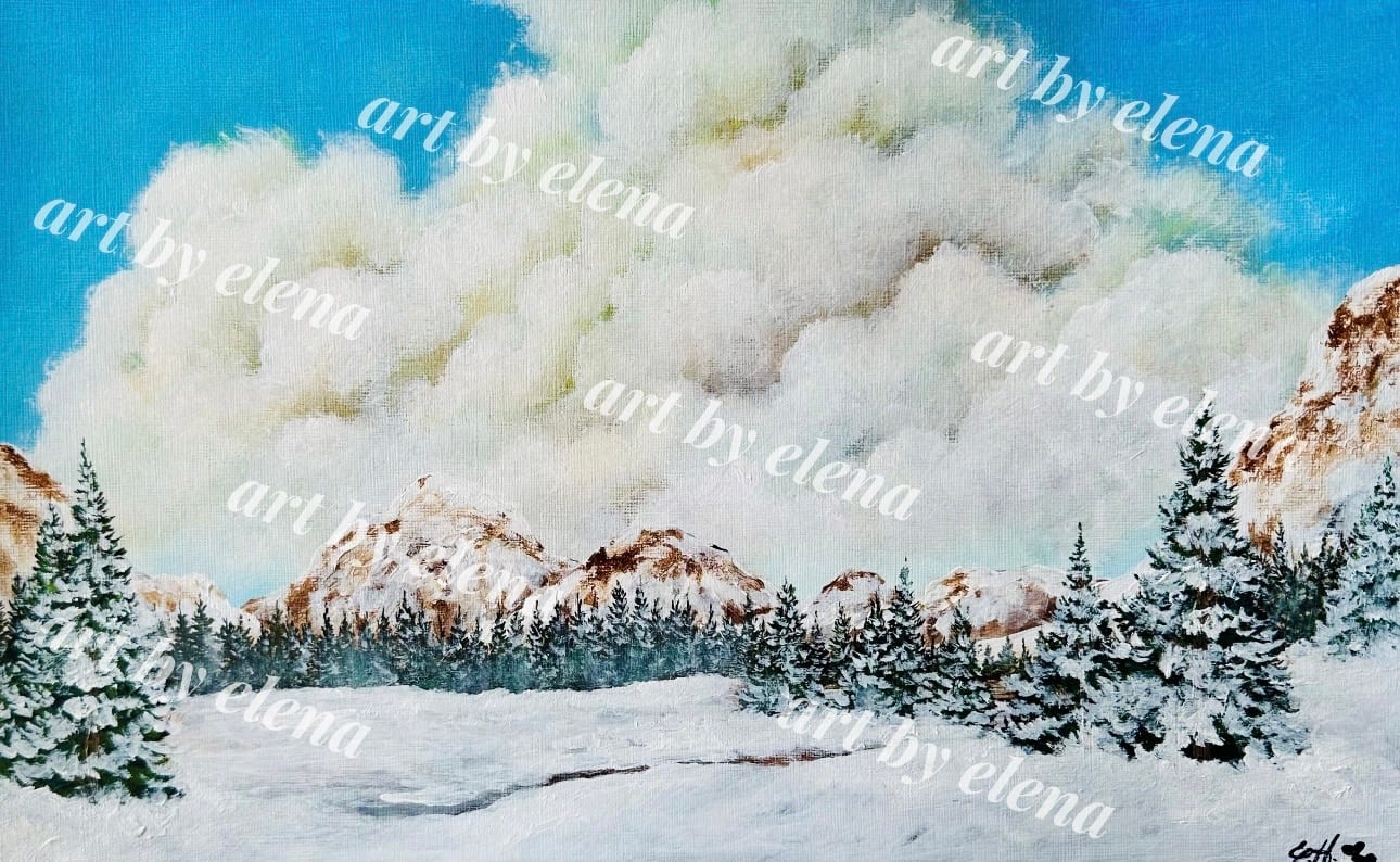 Cloudy snowy Day