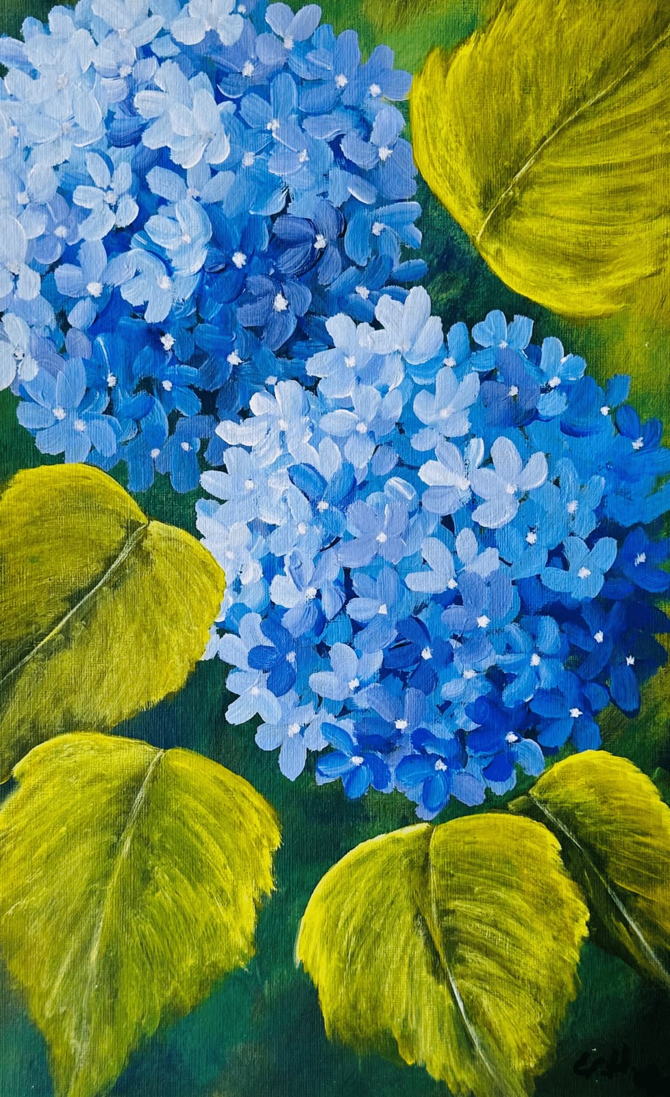 Blue Hydrangeas