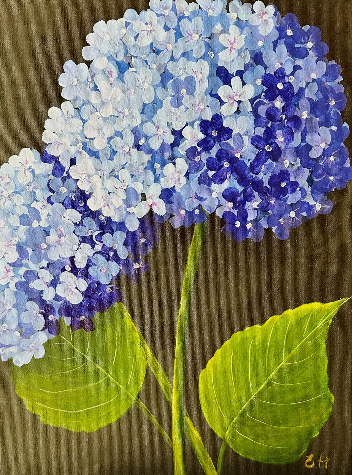 Violet Hydrangeas