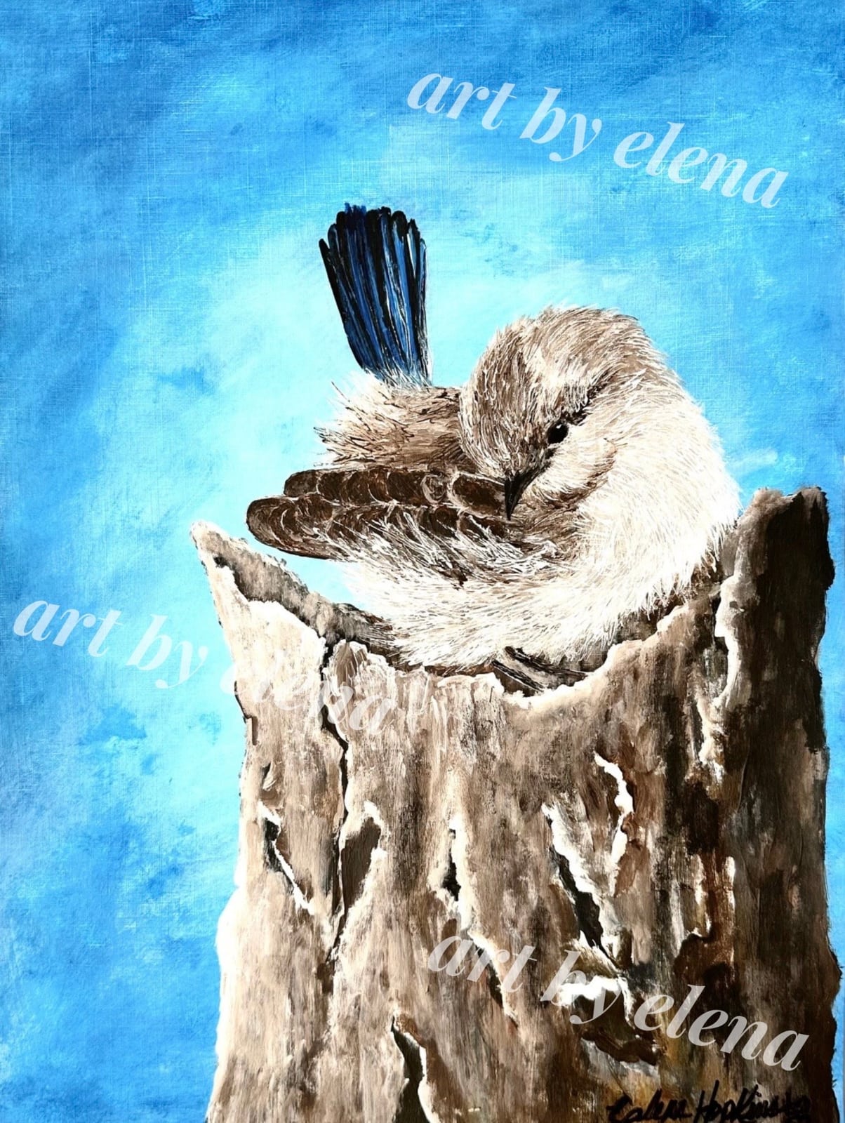 Bird In A Tree Stump