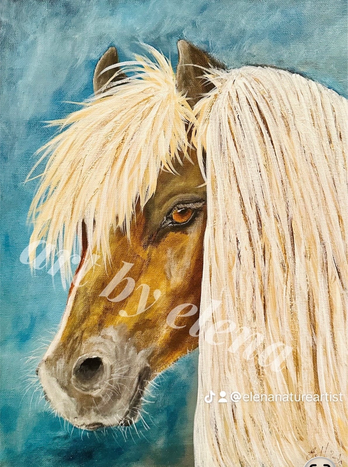 Black Forest Horse