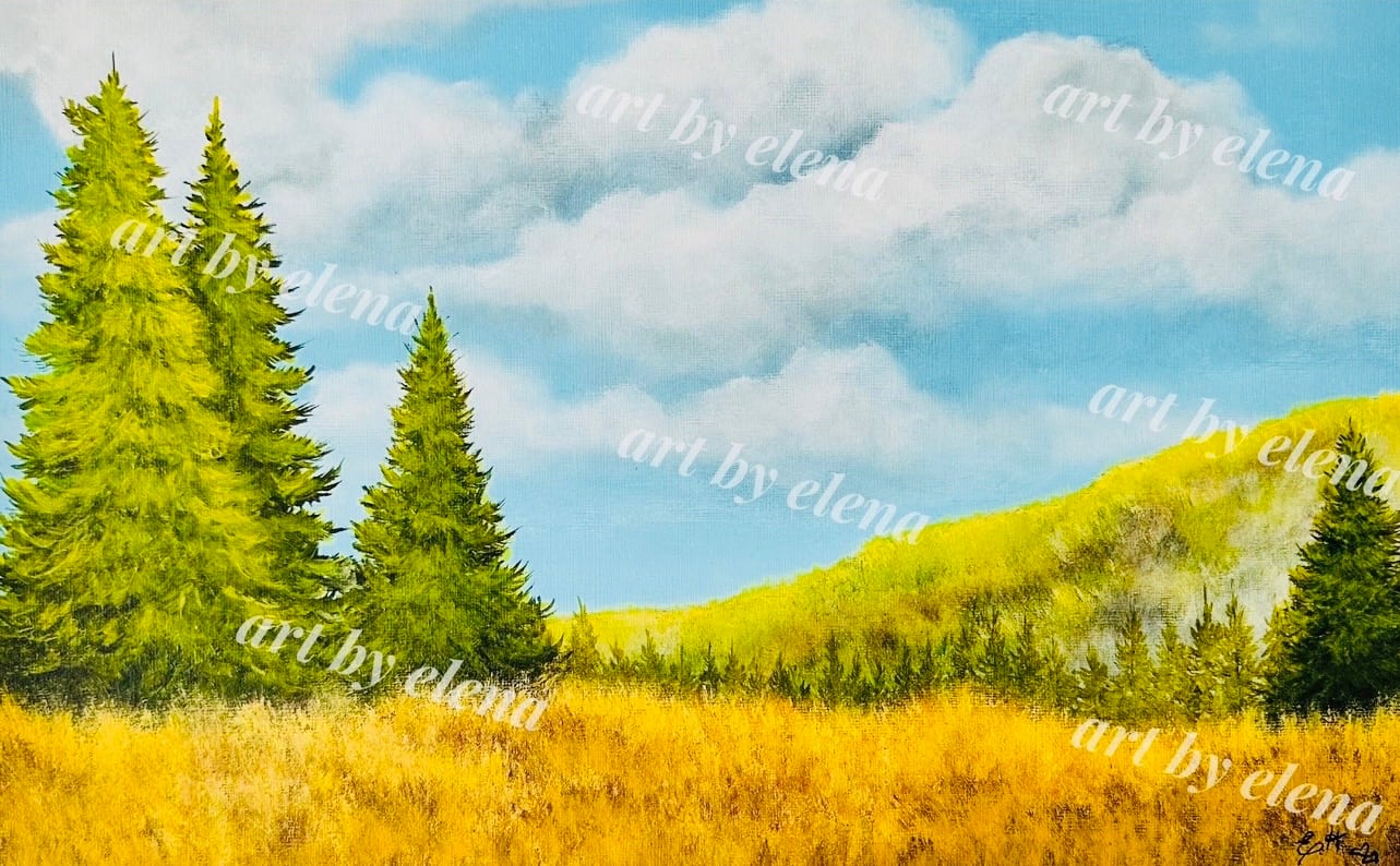 Evergreen Trees